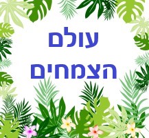 עולם הצמחים